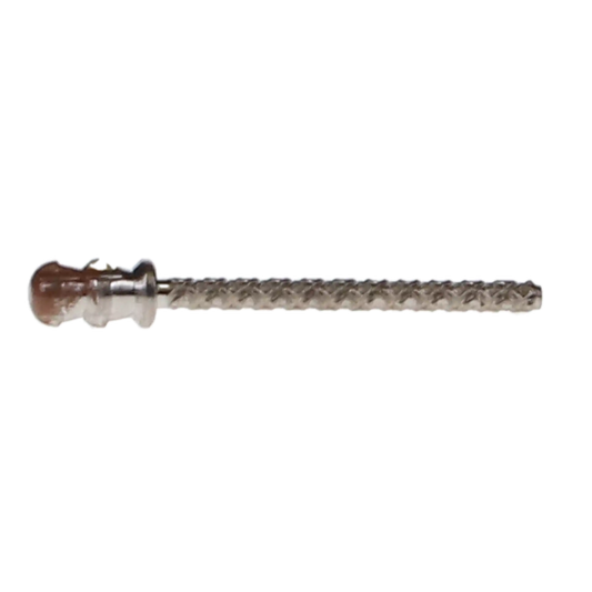 Coltene - ParaPost XH Post Titanium P88-3 10/Pk