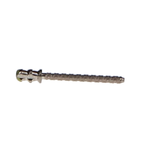 Coltene - ParaPost XH Post Titanium P88-4 10/Pk