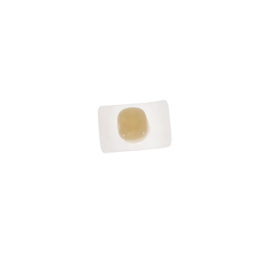 Protemp Crown Refill LL Molar 5/Pk