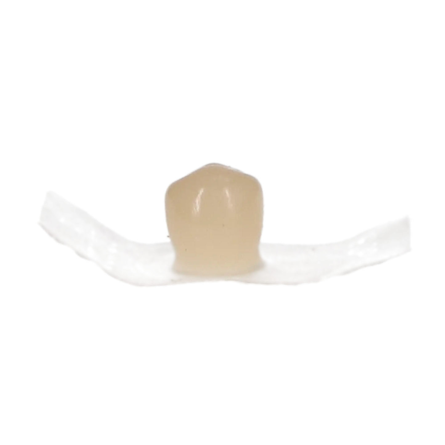 Protemp Crown Refill Lwr Bicuspid 5/Pk