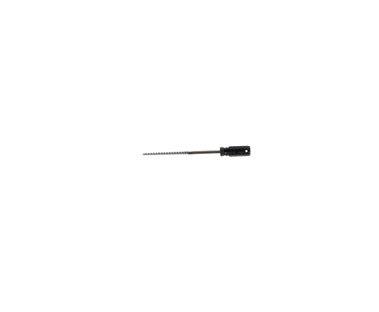 HSB - K-File, Stainless Steel, 31 mm, # 80, Black, 6/Pk