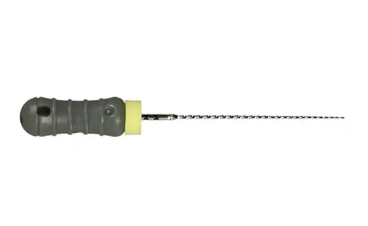 Dentsply - Ready-Steel C+File 25mm 6/Pk #06