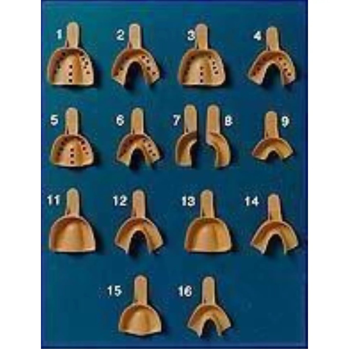 Sani-Trays - 9 - Anterior, N/P **Discontinued