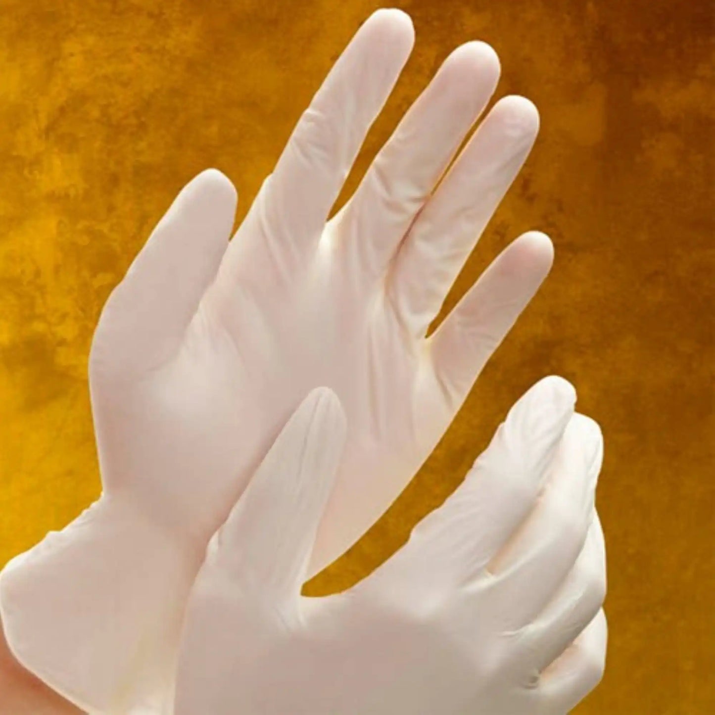 Adenna Vitex Vinyl Gloves PF LG 100/Bx
