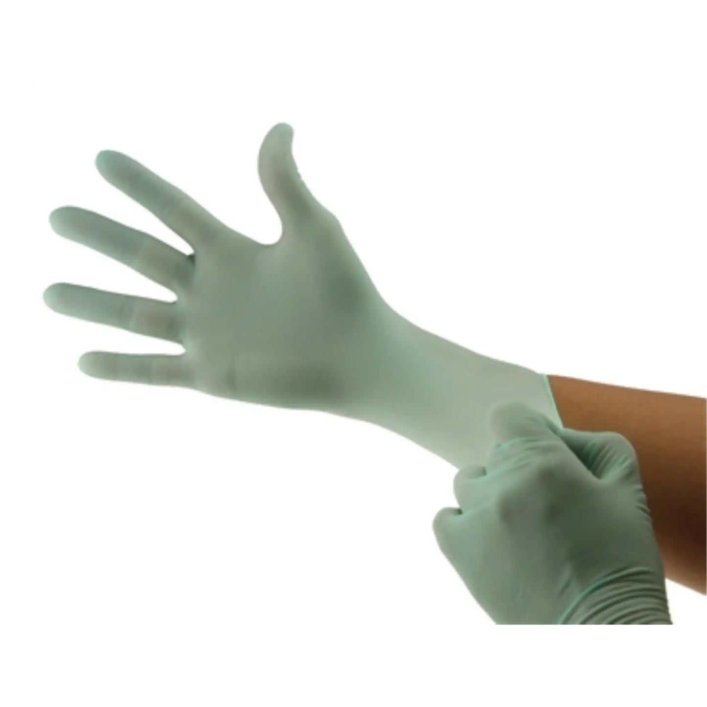 Cranberry - BeeSure Green Latex PF Gloves Small 100/Box **Discontinued