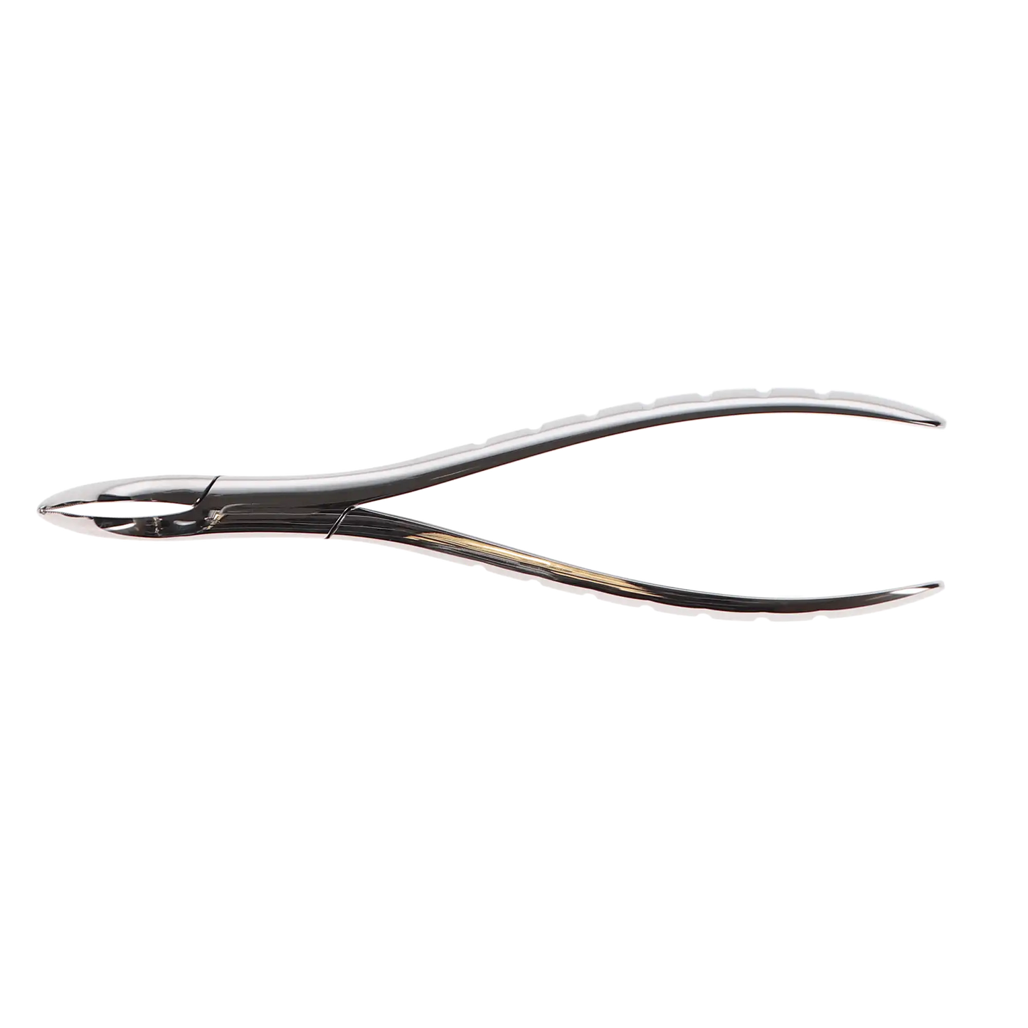 Forcep Root #301