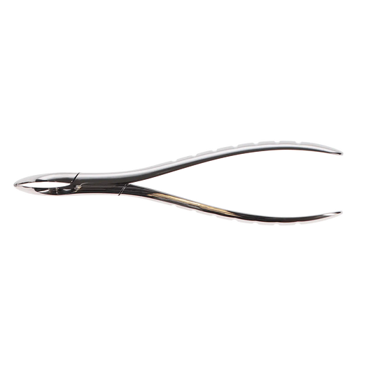 Forcep Root #301