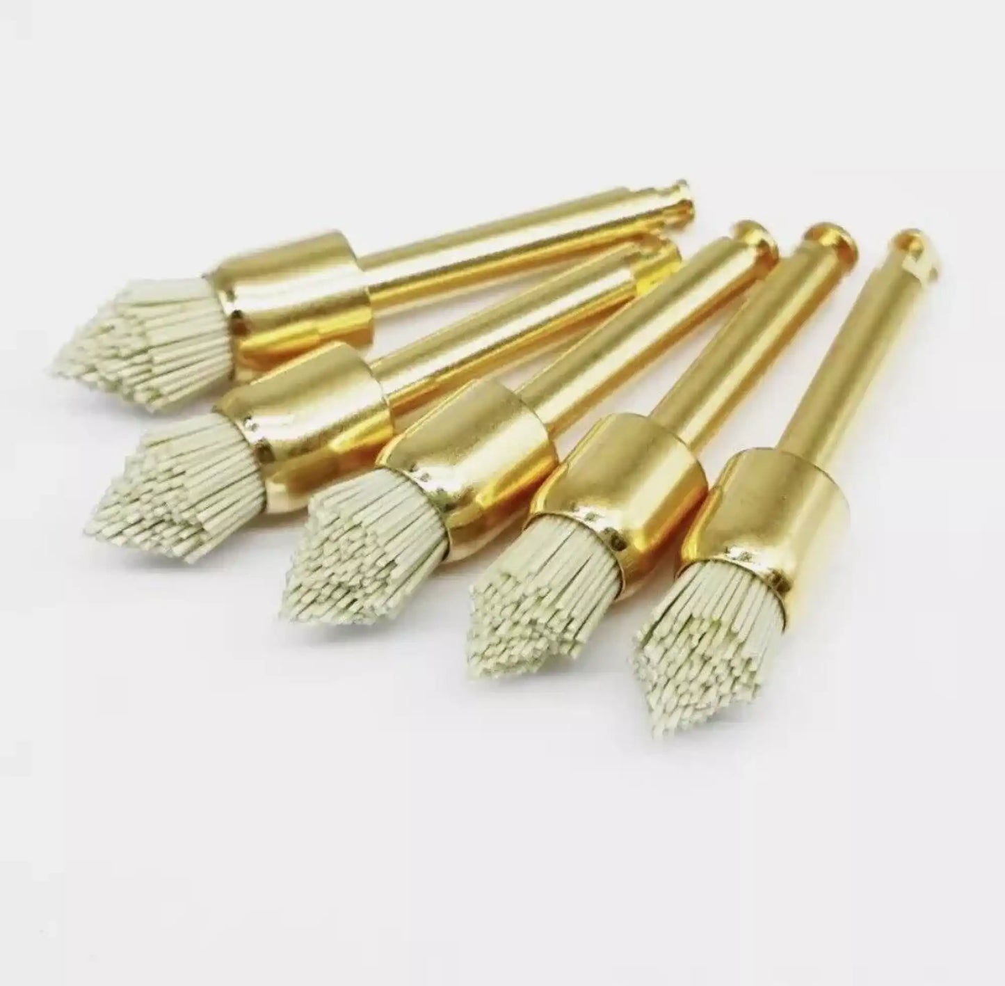 Occlubrush Point Refill 10/pk