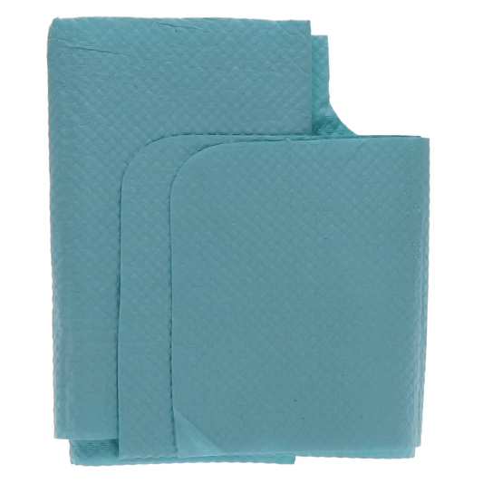 Tidi - Oral Surgery Bib 18X25 3ply 250/Bx Blue