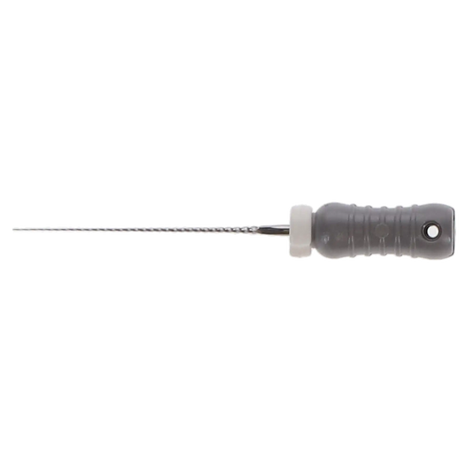 Dentsply - C-File SS #08 21mm 6/Pk