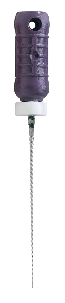 Dentsply - C-File SS #10 21mm 6/Pk