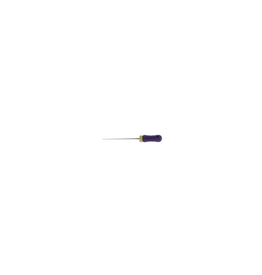 Dentsply - Ready-Steel K-File 21mm #10 - Sterile 6/Pk - (6841021)