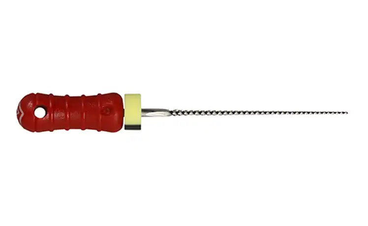 Dentsply - Ready-Steel K-File 31mm 6/Pk #10