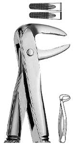 Hu-Friedy - Forceps #74N Europ., IM Roots narrow